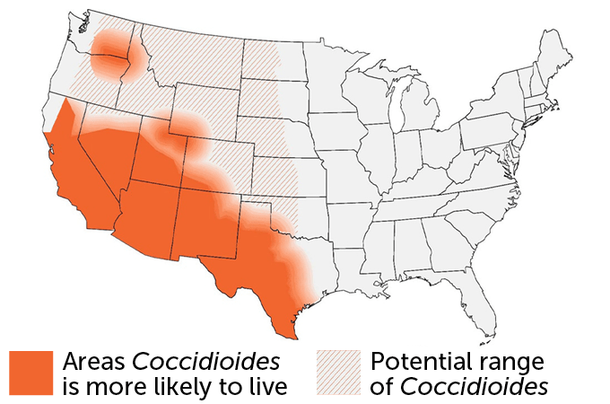 A map of the United States shows where Coccidioides fungi are typically found. The area where the fungi are more likely to live stretches from Texas's gulf coast, across New Mexico, Arizona, Nevada and California. The parts of Utah and Colorado are also included, as well as a small dot where Washington, Oregon and Idaho meet. The area where the fungi could live stretches south from the northern border of the U.S. and goes as far east as the middle of North Dakota to Oklahoma.