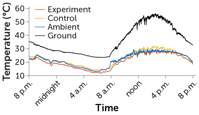 Graph showing how zigzag walls stayed cooler than flat walls in a field test experiment.